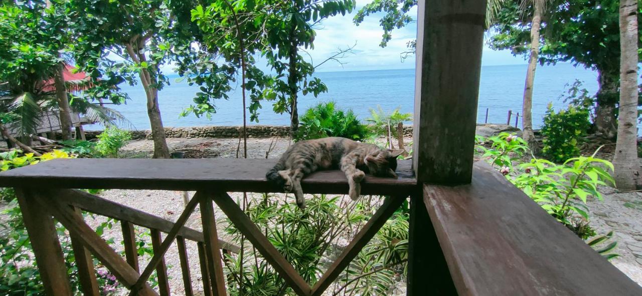 Paseo Del Mar Seaside Inn Jagna 外观 照片