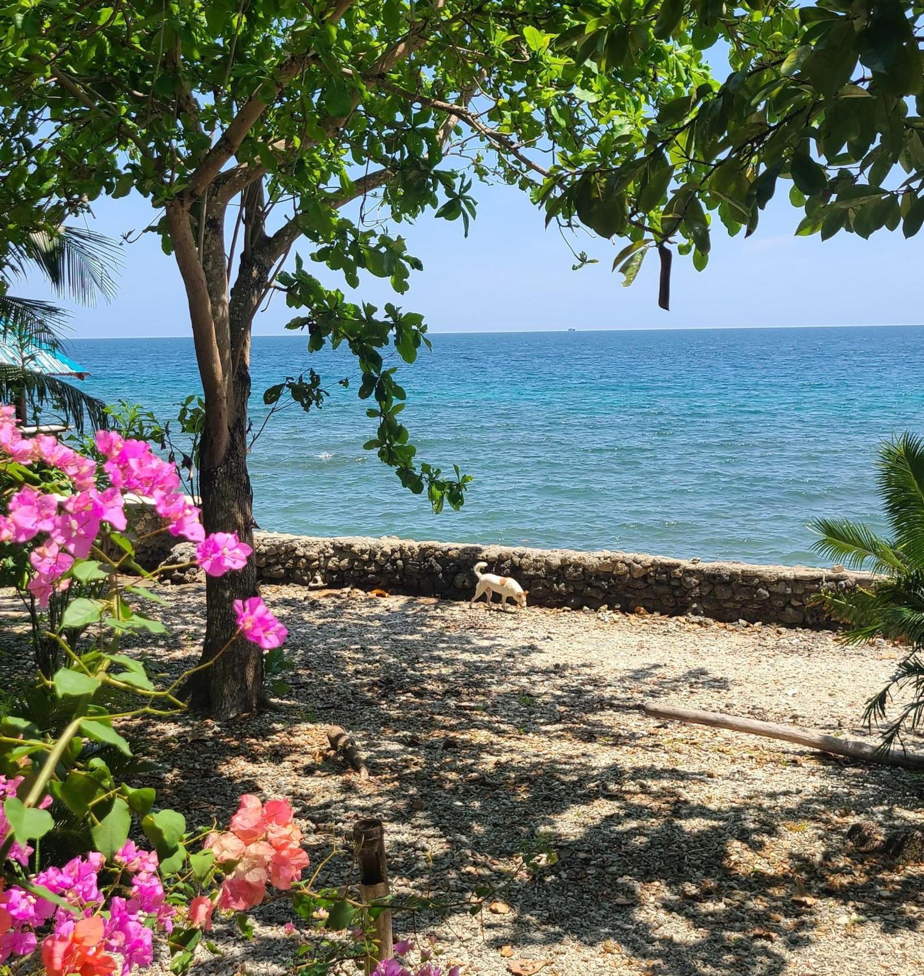 Paseo Del Mar Seaside Inn Jagna 外观 照片