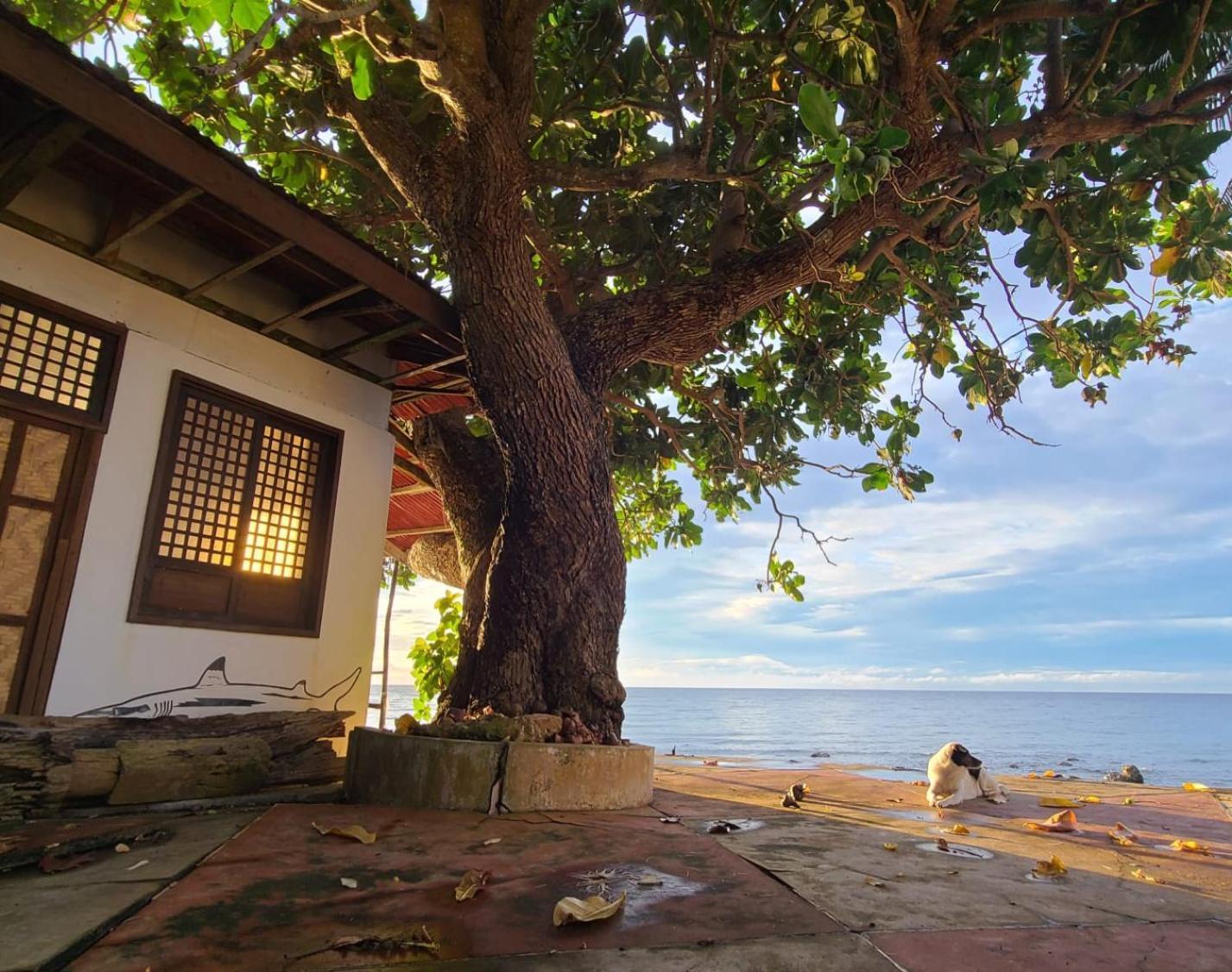 Paseo Del Mar Seaside Inn Jagna 外观 照片