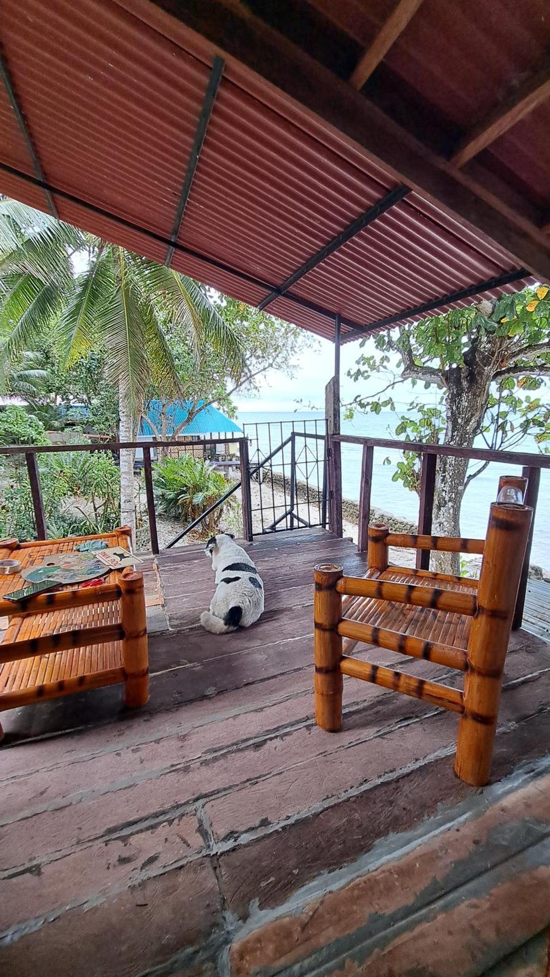 Paseo Del Mar Seaside Inn Jagna 外观 照片