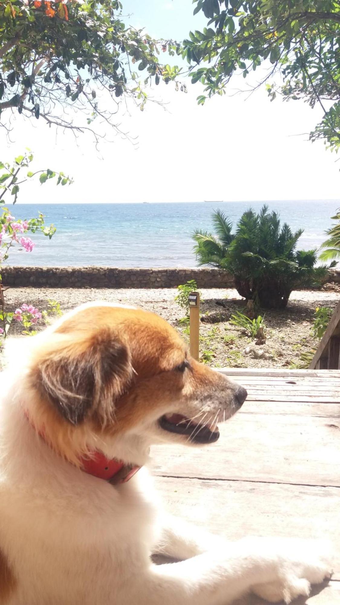 Paseo Del Mar Seaside Inn Jagna 外观 照片